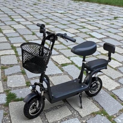 صورة أبو سلة كرسين كهربائي 48 فولت مقاس 10